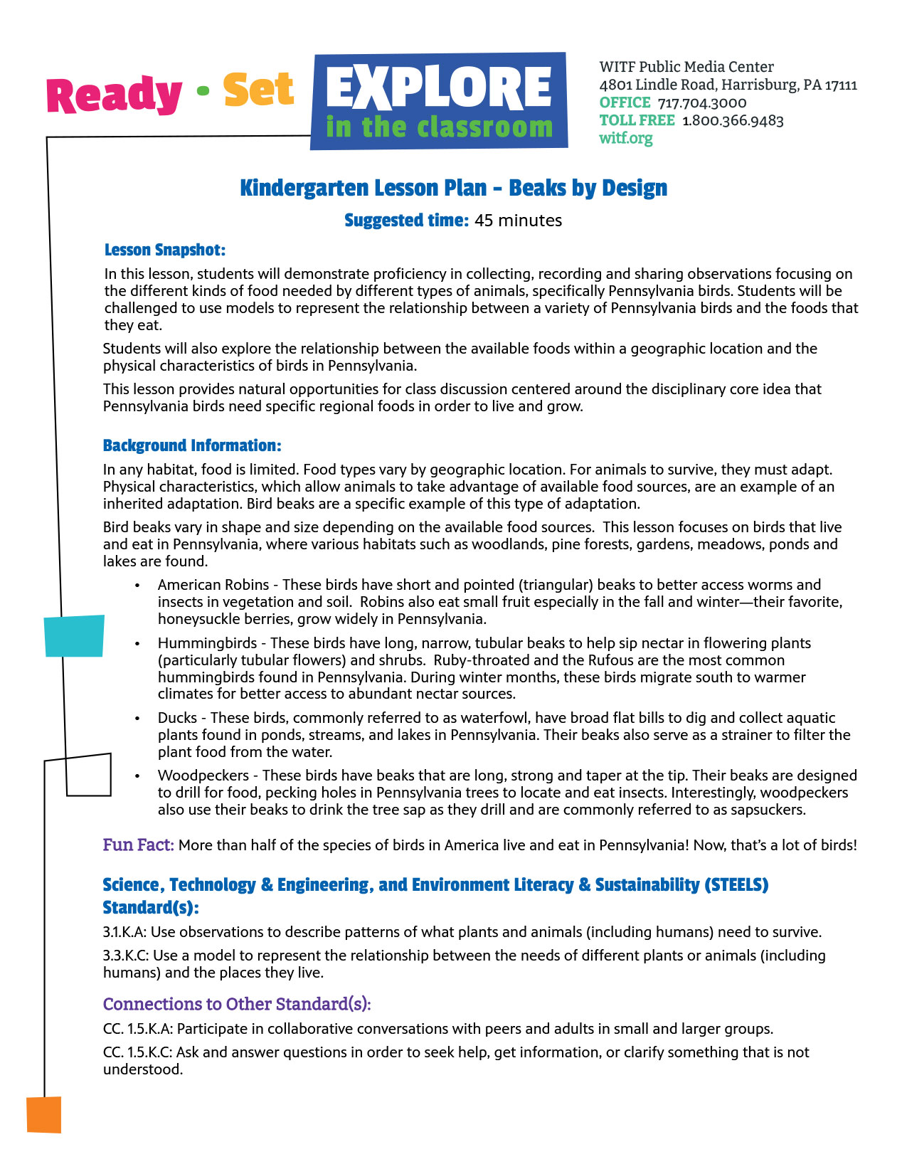 Kindergarten Lesson Plan - Beaks by Design